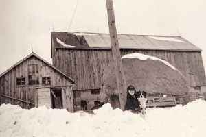 The Alexanders: A Migrant Story 